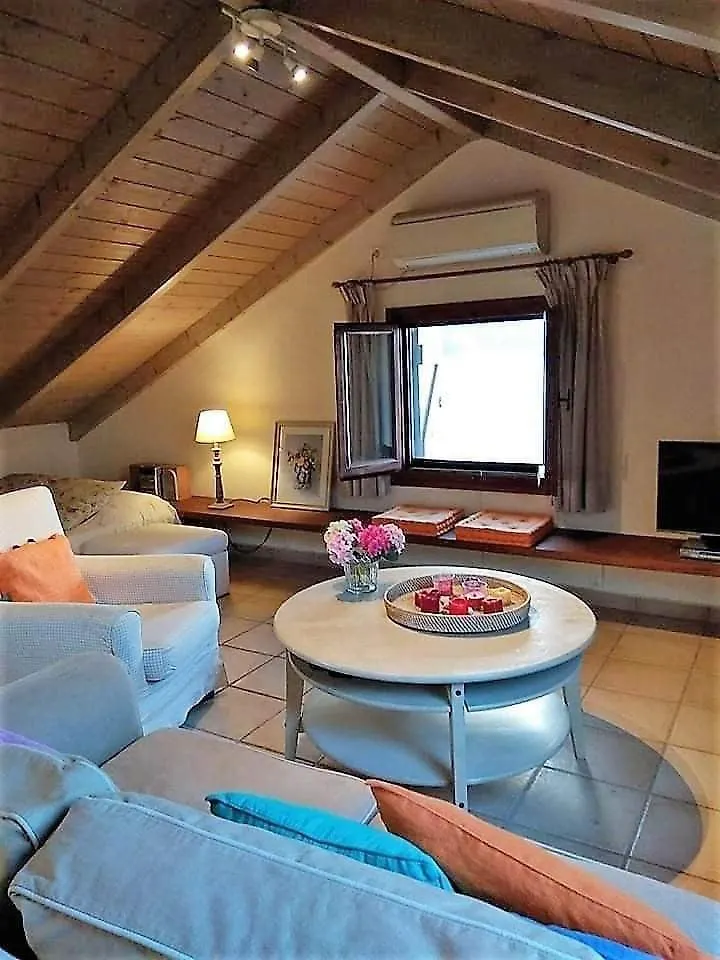 Cavos Inn - Loft In Assos With Amazing View Asos Apartment